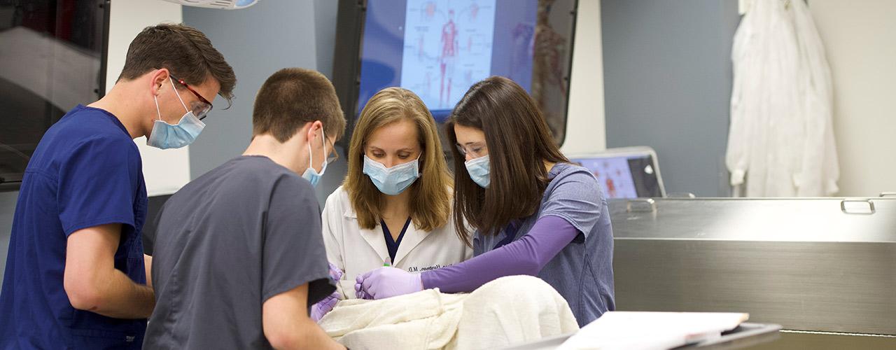 Dr. Melissa Burns guides students during a dissection in the cadaver lab